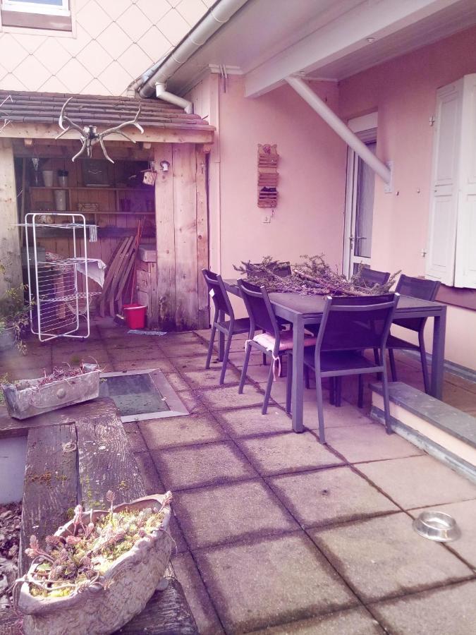 Spacieux Appartement Dans Le Centre De Munster 蒙斯特 外观 照片