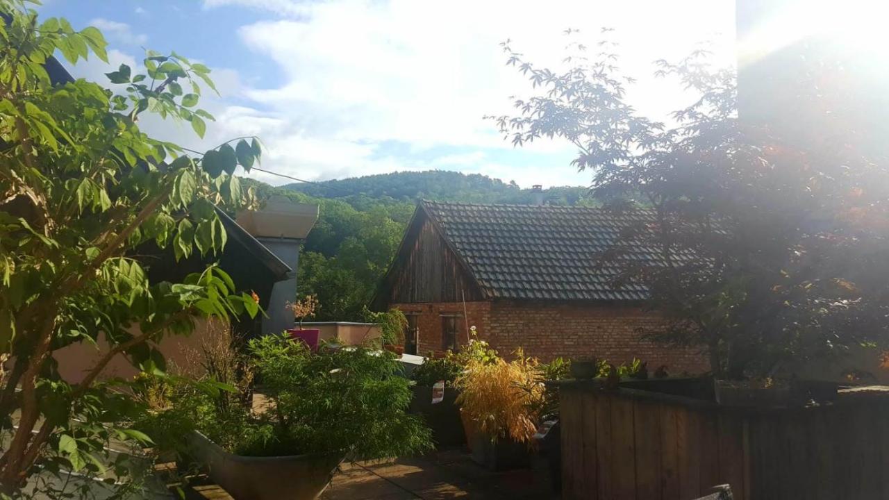 Spacieux Appartement Dans Le Centre De Munster 蒙斯特 外观 照片