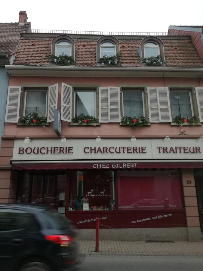 Spacieux Appartement Dans Le Centre De Munster 蒙斯特 外观 照片