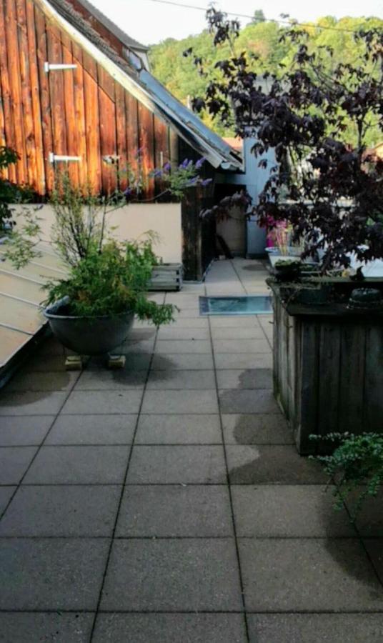 Spacieux Appartement Dans Le Centre De Munster 蒙斯特 外观 照片